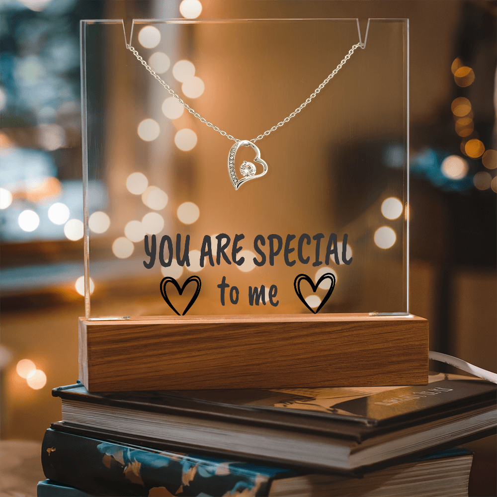 "YOU ARE SPECIAL" Necklace Gift