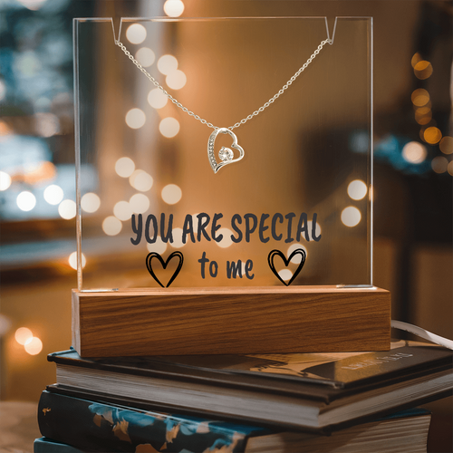 "YOU ARE SPECIAL" Necklace Gift