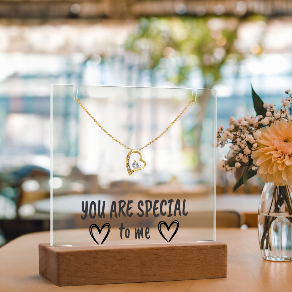 "YOU ARE SPECIAL" Necklace Gift