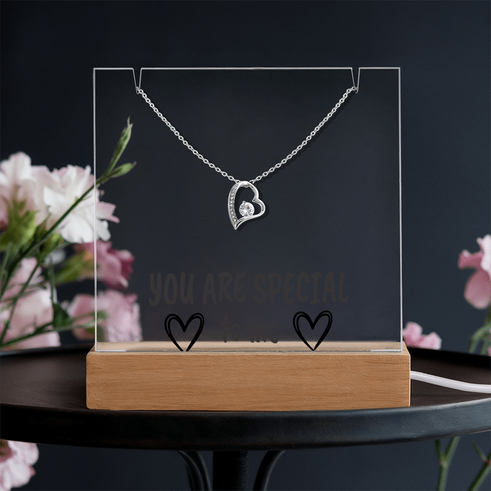 "YOU ARE SPECIAL" Necklace Gift