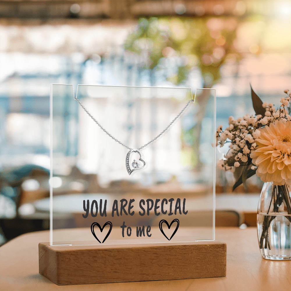 "YOU ARE SPECIAL" Necklace Gift