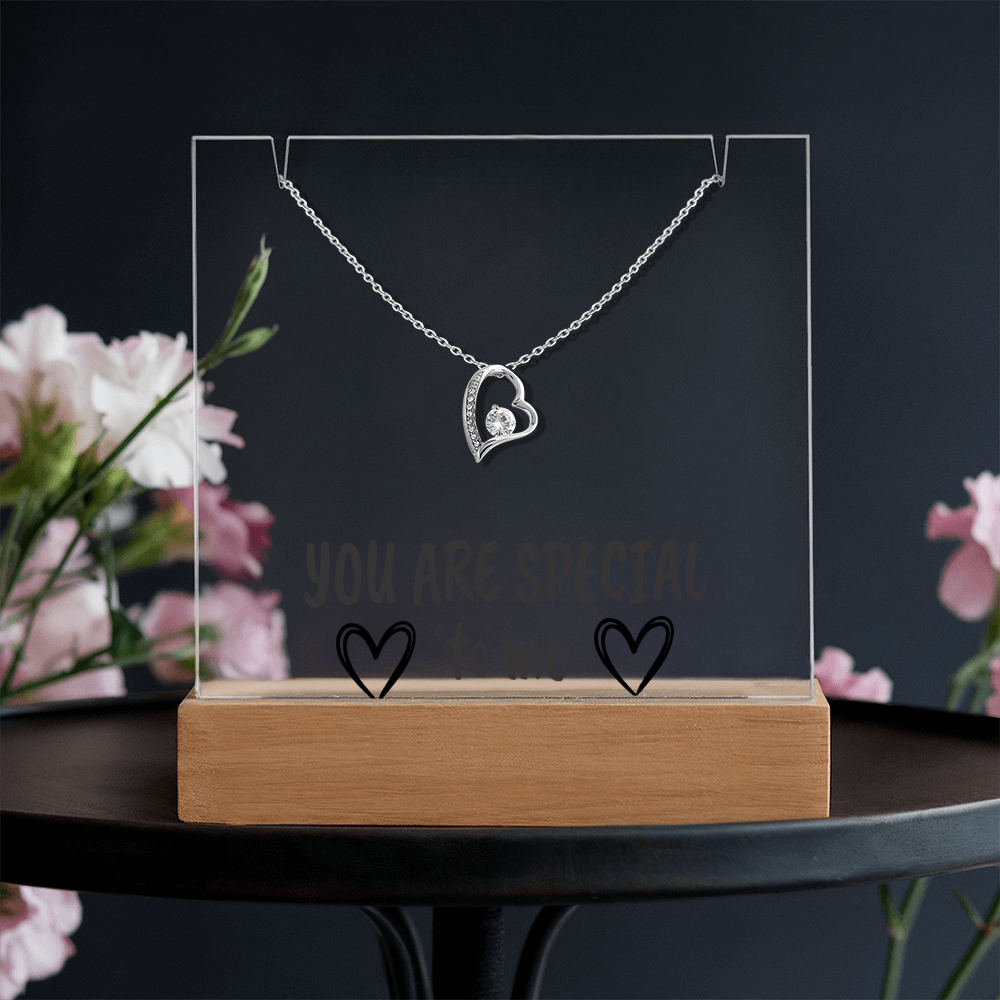 "YOU ARE SPECIAL" Necklace Gift