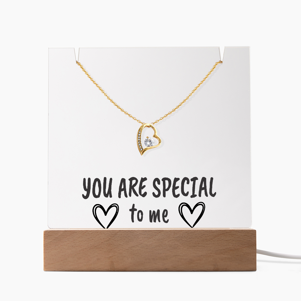 "YOU ARE SPECIAL" Necklace Gift