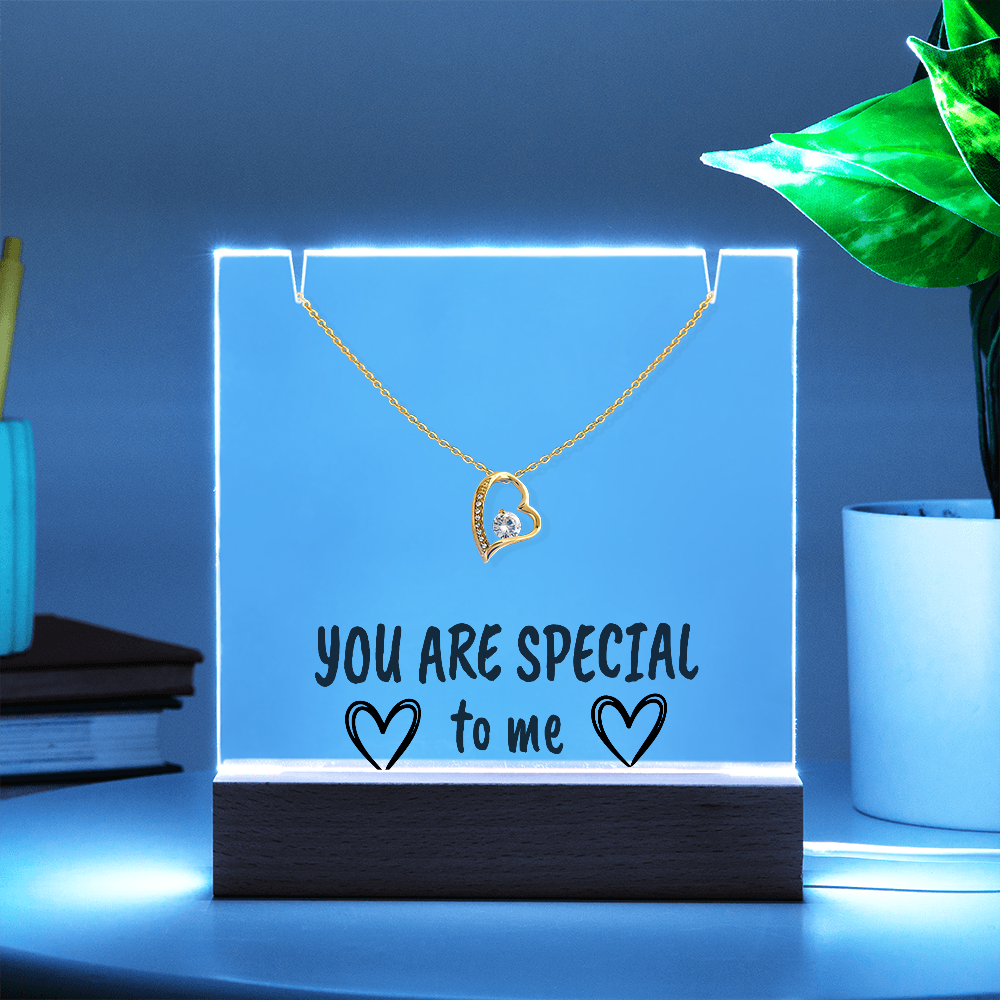 "YOU ARE SPECIAL" Necklace Gift