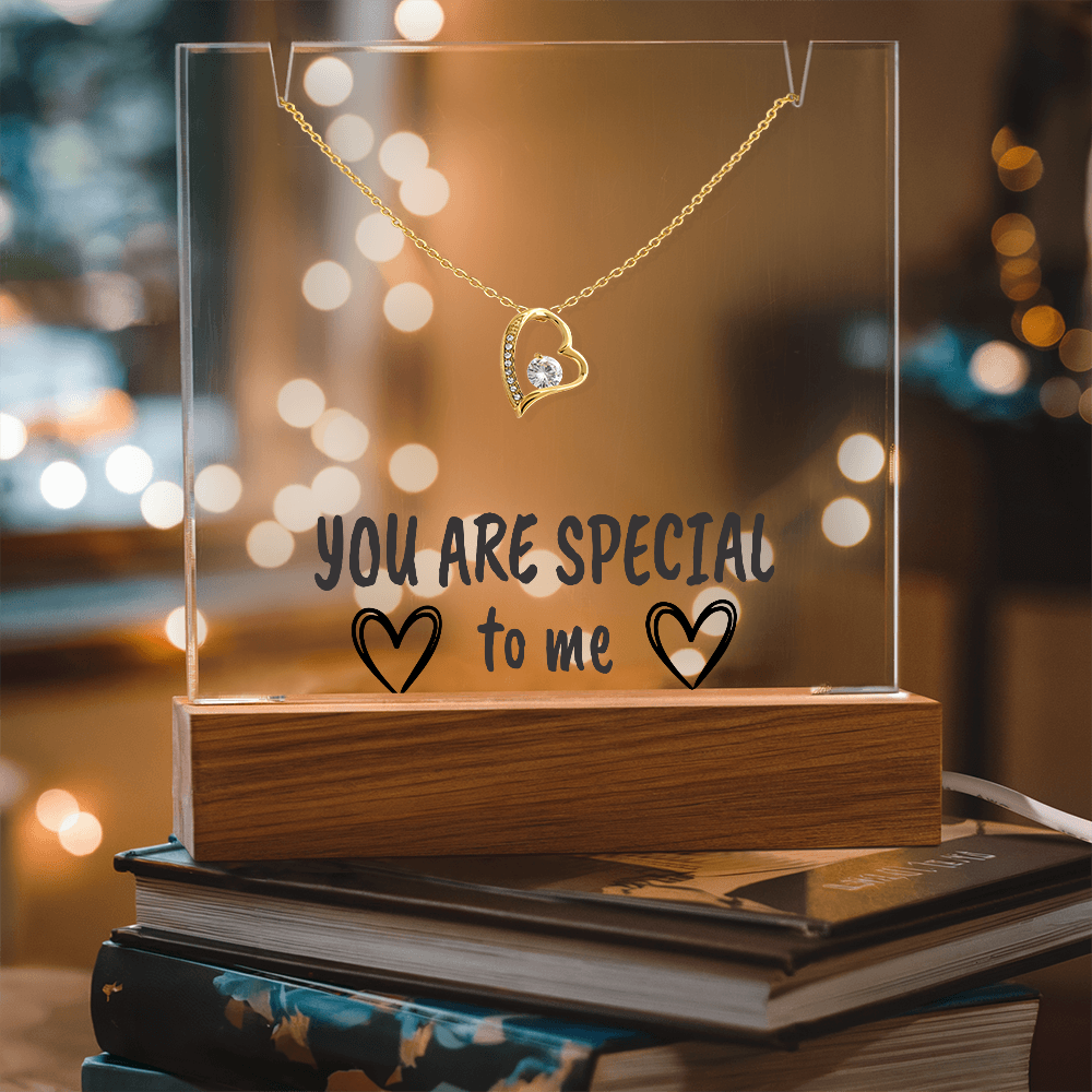 "YOU ARE SPECIAL" Necklace Gift