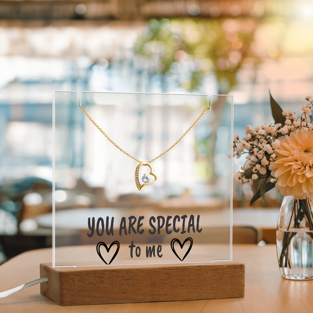 "YOU ARE SPECIAL" Necklace Gift