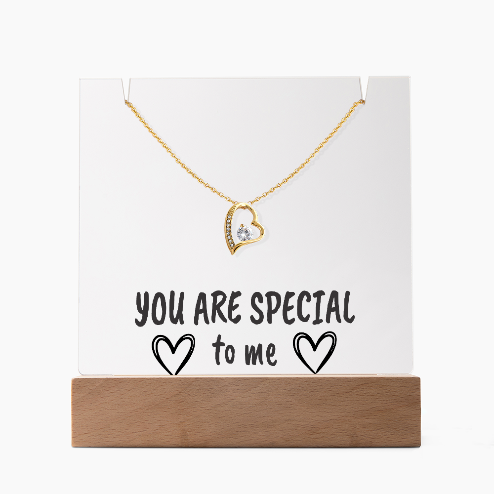 "YOU ARE SPECIAL" Necklace Gift