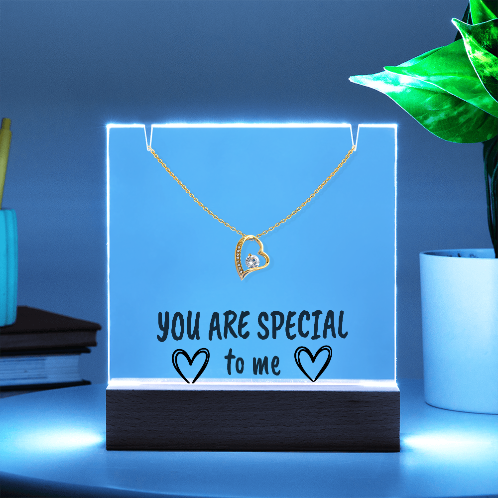 "YOU ARE SPECIAL" Necklace Gift