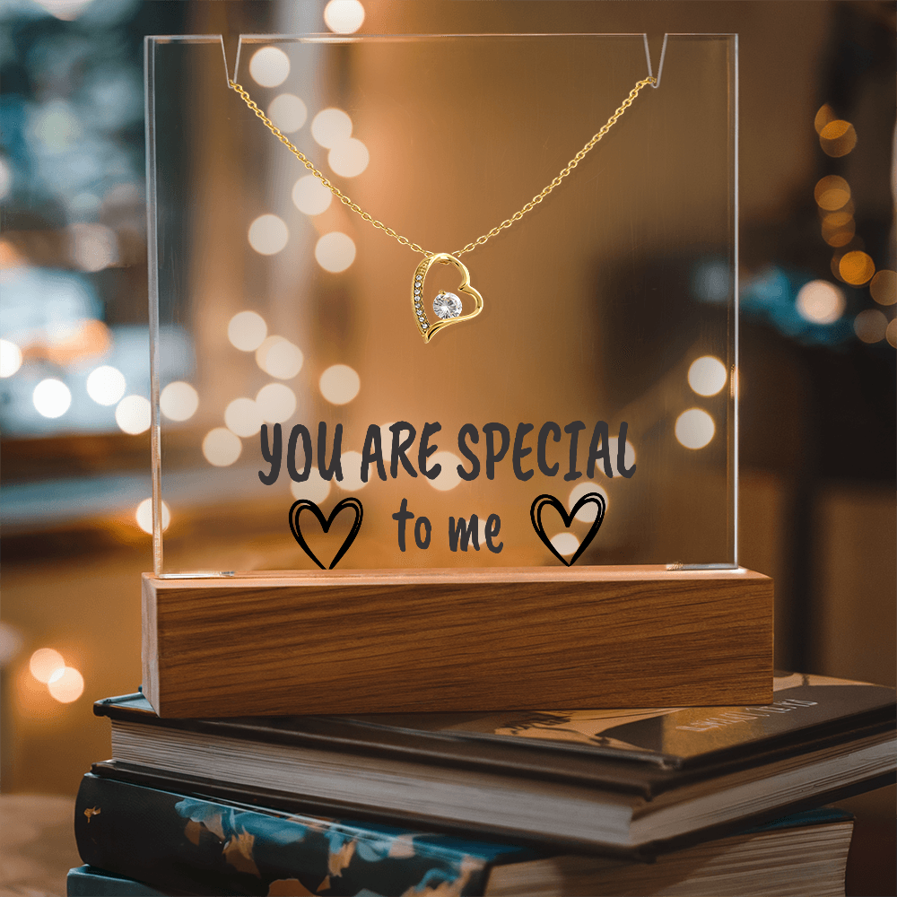 "YOU ARE SPECIAL" Necklace Gift