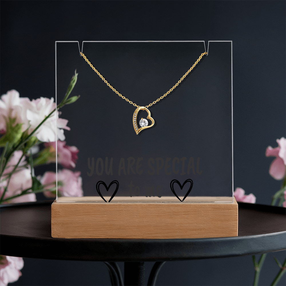 "YOU ARE SPECIAL" Necklace Gift